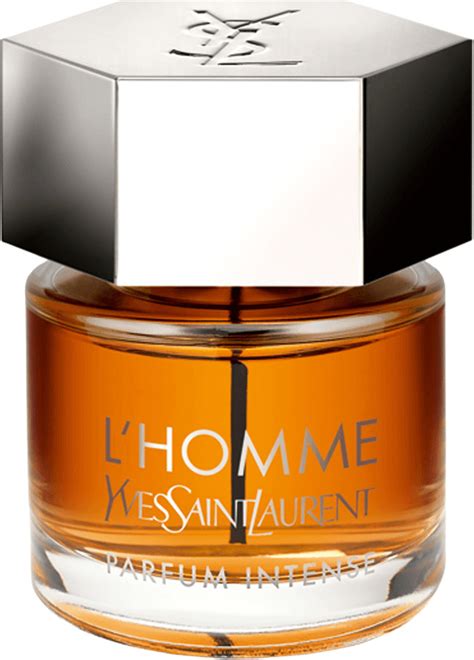 Yves Saint Laurent Lhomme Intense Eau De Parfum 100ml Ab 163 55