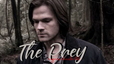 is it a kinky thing sam winchester — the prey serial killer sam