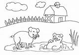Coloring Farm Mud Pig Pages Pigs Bath Animal Kids Clipart Choose Board Sheets Happy sketch template