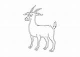Coloring Buck Large sketch template