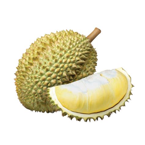 Durian – Vinh Agriculture