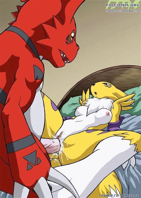 142990 Digimon Guilmon Palcomix Renamon Animated Renamon Furries
