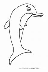 Delfin Ausmalbilder Delfine Ausmalbild Fische Tiere Mandala Vorlage Kinderbilder sketch template