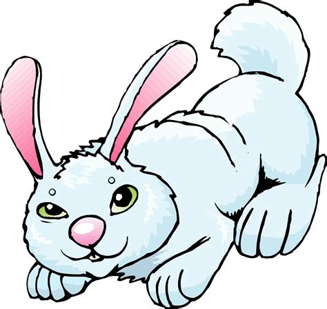 rabbit cartoon drawing clipart