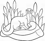 Otter Coloring Pages River Getcolorings Color Print Printable sketch template