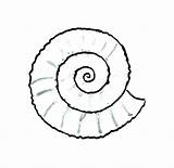 Coloring Oyster Snail Clam Drawing Pearl Sea Pages Getdrawings Getcolorings Giant Clipartmag sketch template