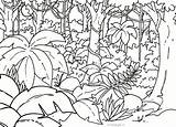 Disegni Foresta Giungla Amazzonica Bambini sketch template