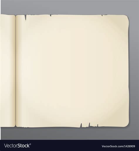 opened book pages background royalty  vector image