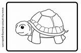 Tortoise Tortue Coloriage Coloriages Animaux sketch template