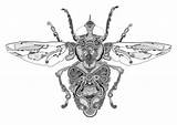 Rosalind Monks Insect Bug Artist Insecte Tatouage Enregistrée sketch template