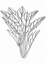 Spinach Plant Mario Piranha Library sketch template