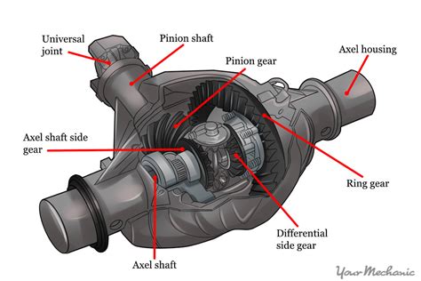 check  cars differential fluid yourmechanic advice