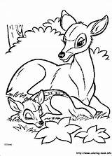 Designlooter Bambi sketch template