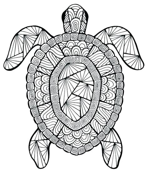 funny turtle coloring pages  getdrawings