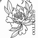 Peony Japanese Drawing Clipartmag sketch template
