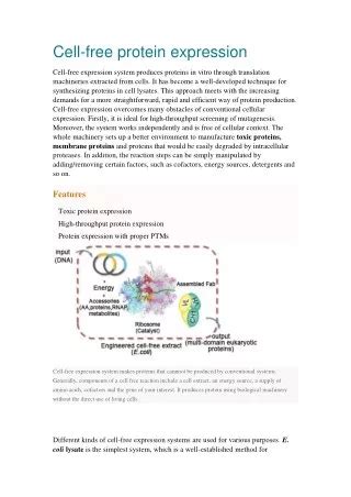 single cell protein powerpoint    id