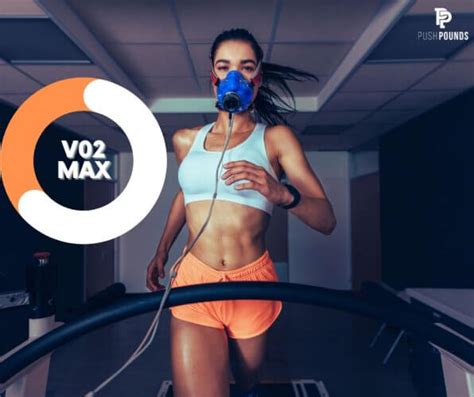 vo max test analytics  toronto exercise metabolism test