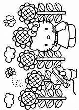 Kitty Hello Coloring Pages Sunflower Spring Printable Color Sheets Print Hellokitty Fall Designs Colouring Cliparts Fanpop Printables Clipart Wallpaper Cute sketch template