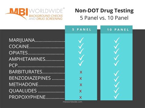 drug testing  panel  panel comparison mbi worldwide background checks  drug screening