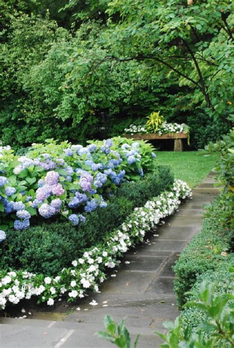 captivating hydrangea flower beds   beautify  outdoors