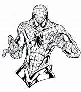 Spiderman Coloring Pages Clipartmag sketch template