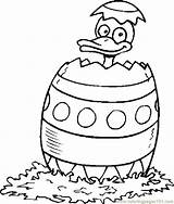 Easter Duck Coloring Pages Egg Getcolorings Color Print Getdrawings sketch template
