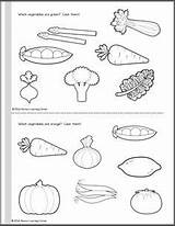 Coloring Pages Worksheets Vegetable Fruits Preschool Pdf Vegetables Kindergarten Kids Printable Color Activities Worksheet Sheets Fruit Print Nursery Tracing Grade sketch template
