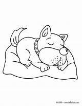Dog Sleeping Coloring Pages Hellokids Drawing Kids Color Hello Cute Animals Print Puppies Chien Paintingvalley Choose Board sketch template