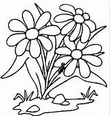 Coloring Wecoloringpage Flower Pages sketch template