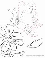 Punkt Schmetterling Malvorlagen Verbinden Zahlen Ausmalbilder Punkte Erwachsene Vorlagen sketch template