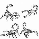 Scorpion Coloring Pages Printable Scorpio Drawing Kids Animal Outline Scorpions Sheets Clipart Draw Coloring4free 2021 Color Colouring Clip Getcolorings Bugs sketch template