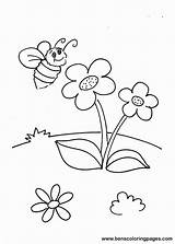 Bees Biene Coloringhome sketch template