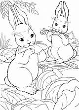 Colorare Conigli Disegni Pianetabambini Coniglio Bambini sketch template