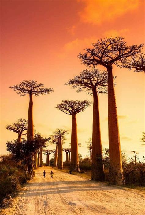 Les Offices Du Tourisme à Madagascar Réservez Avec Hotels Booking