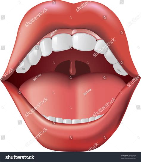 open mouth tongue teeth adobe illustrator stock vector