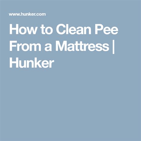 clean pee   mattress hunker mattress cleaning cleaning