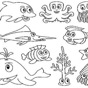 water animals pictures  colouring pumpylalcom sea animals