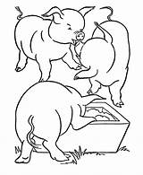 Coloring Pigs Porcos Comendo Cerdo Feeding Tudodesenhos Cerdos Esquema Honkingdonkey sketch template