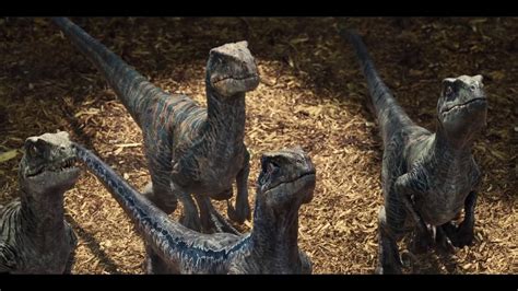 Jurassic World Velociraptor Wallpaper 82 Images