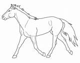 Paarden Dieren Paard Trotting Makkelijk Animaatjes Lineart Equine Tekeningen Schattige Coloriages Uitprinten Mewarn11 Tekening Kleuren Animes Bezoeken Coloriage Downloaden sketch template