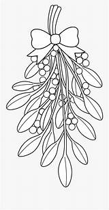 Mistletoe Coloring Poinsettia Flower Christmas Pages Clipartkey sketch template
