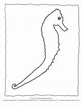Outline Sea Horse Clipart Seahorse Cliparts Line Library Coloring Pages sketch template