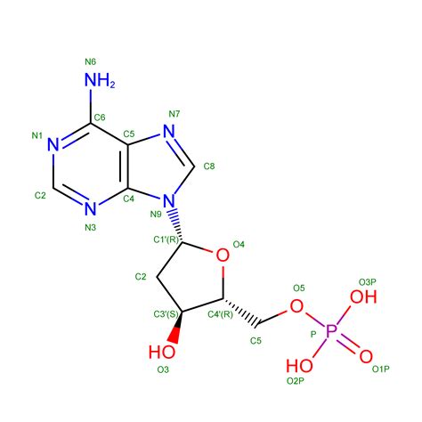 rcsb pdb  human histidine triad nucleotide binding protein  hhint  deoxy amp