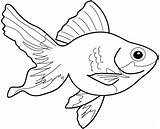 Goldfish Coloring Printable Pages Getcolorings Color Print sketch template