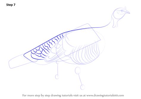Learn How To Draw A Wild Turkey Birds Step By Step