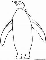 Penguin Emperor sketch template