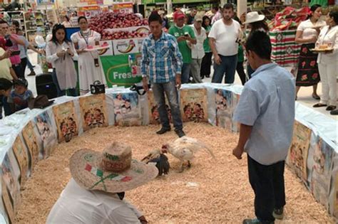 mexican walmart store stages cock fight in food aisles to promote beer daily star