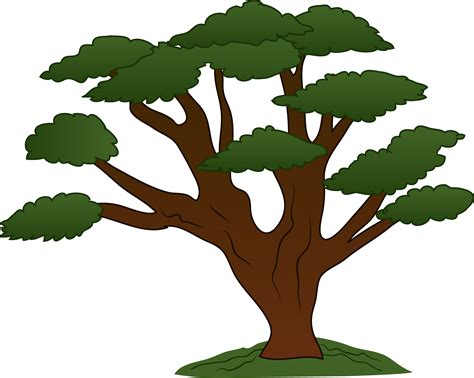 cartoon oak tree clipartsco