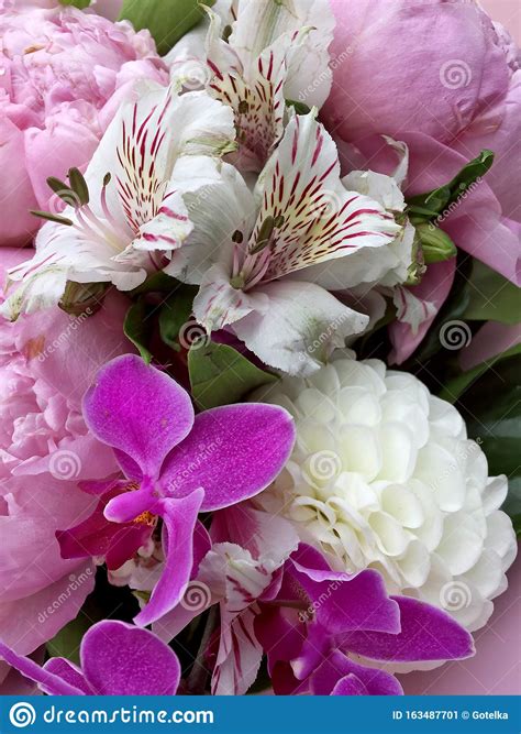 Beautiful Bouquet Flowers Pink Peony White Dahlia White