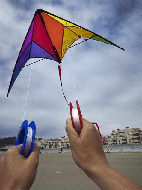 filego fly  kite jpg wikimedia commons